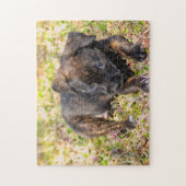 無邪気な小犬 ジグソーパズル (縦)