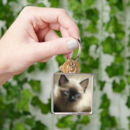 無邪気な視線シアメシタンポートレート キーホルダー