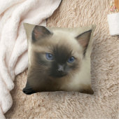 無邪気な視線シアメシタンポートレート クッション (ブランケット)