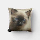 無邪気な視線シアメシタンポートレート クッション (正面)