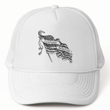 無関心のアメリカ人