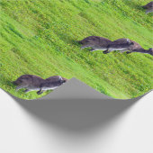 無限の地平線：草の多い平野の灰色のカンガルー ラッピングペーパー (角)