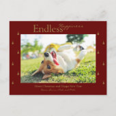 無限の幸せクリスマスホリデーフォトカード シーズンポストカード (正面)