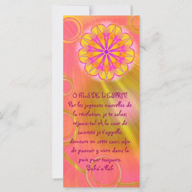 無限の愛26 (正面)