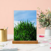 無限の背景に緑の草 アクリルサイン (ウェディング)