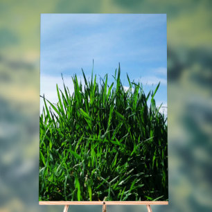 無限の背景に緑の草 アクリルサイン