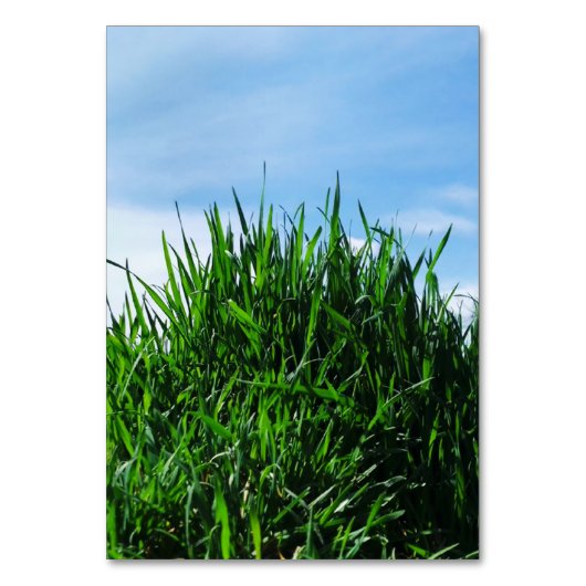 無限の背景に緑の草 テーブルナンバー (正面)