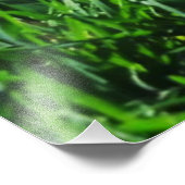 無限の背景に緑の草 フォトプリント            (角)