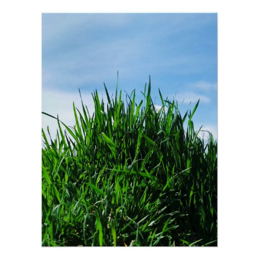 無限の背景に緑の草 ポスター (正面)