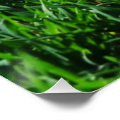無限の背景に緑の草 ポスター (コーナー)