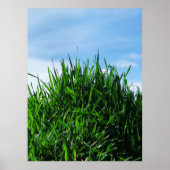 無限の背景に緑の草 ポスター (正面)