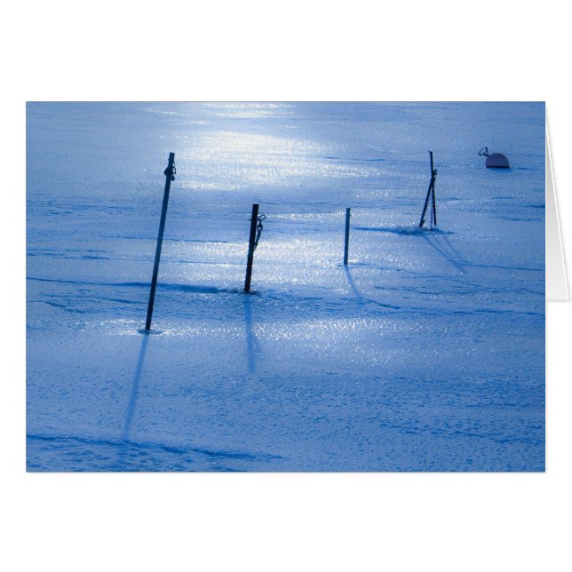 無限の青い氷 (正面横)