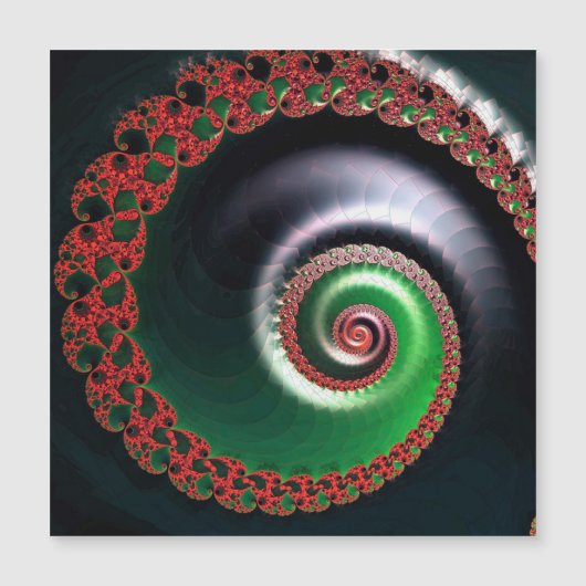 無限旋回磁気カード (正面)