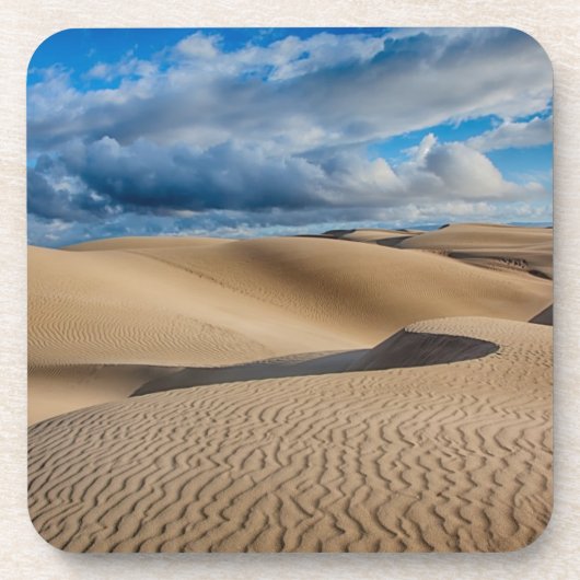 無限砂丘 コースター (正面)