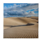 無限砂丘 タイル (正面)