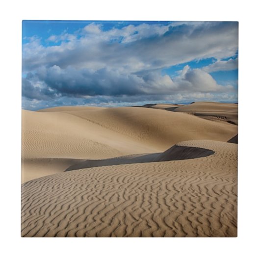 無限砂丘 タイル (正面)