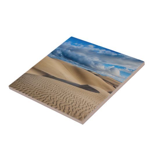 無限砂丘 タイル (側面)