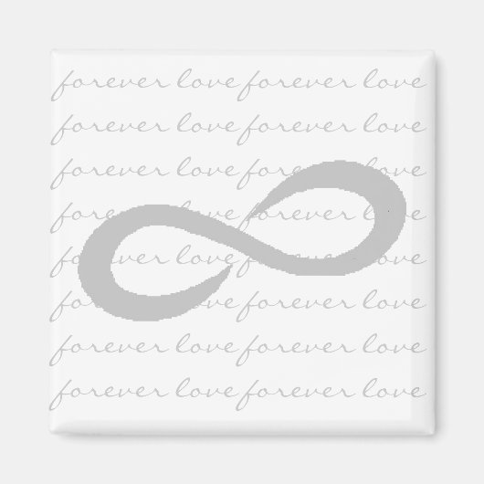 無限磁石 マグネット (正面)