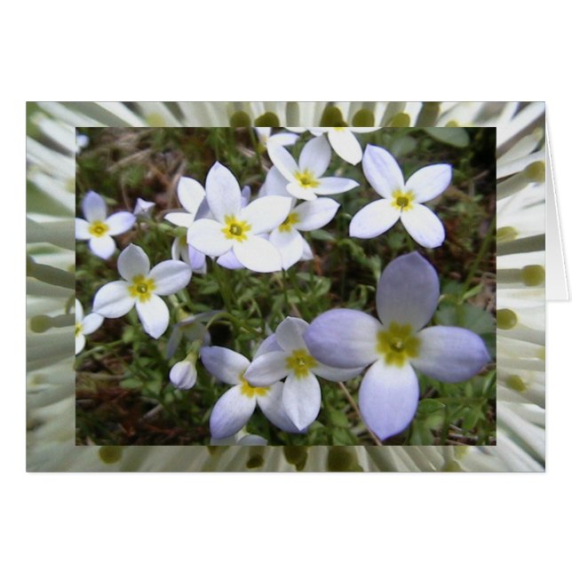 無限草原 (正面横)