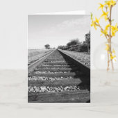 無限鉄道挨拶状、メッセージカード カード (黄色い花)