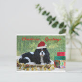 無頓着なクリスマスカード シーズンポストカード (スタンド正面)