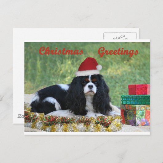 無頓着なクリスマスカード シーズンポストカード (正面/裏面)