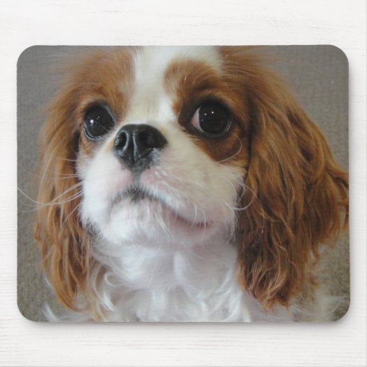無頓着なチャールズ王のかわいい小犬のmousepad マウスパッド (正面)