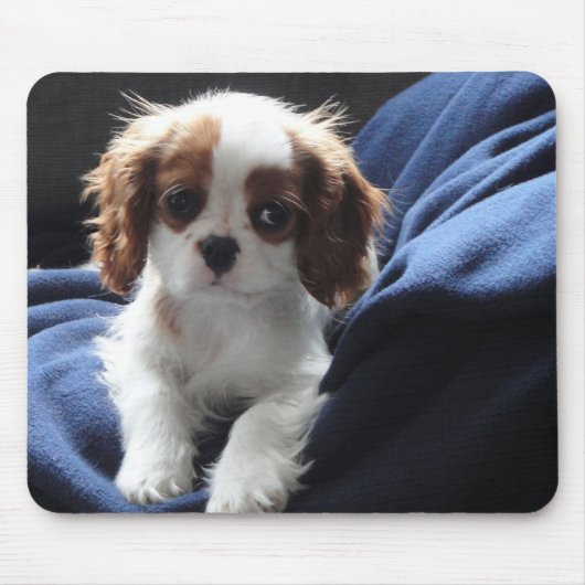無頓着なチャールズ王の子犬のmousepad マウスパッド (正面)
