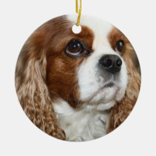 無頓着なチャールズ王スパニエル犬のオーナメント セラミックオーナメント