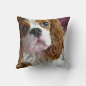 無頓着なチャールズ王スパニエル犬のクッションの枕 クッション (裏面)