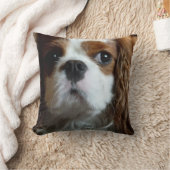 無頓着なチャールズ王スパニエル犬のクッションの枕 クッション (ブランケット)