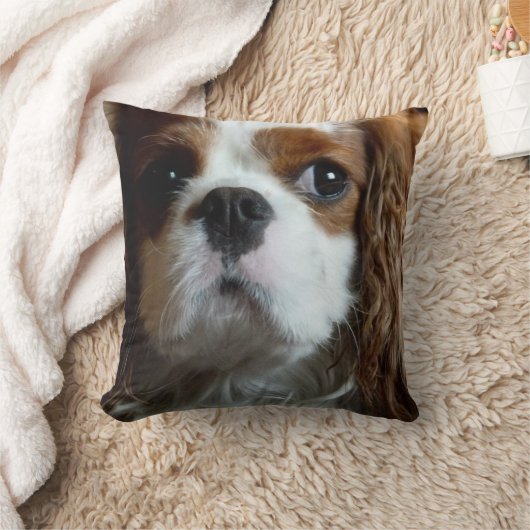 無頓着なチャールズ王スパニエル犬のクッションの枕 クッション (ブランケット)