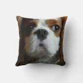 無頓着なチャールズ王スパニエル犬のクッションの枕 クッション (裏面)