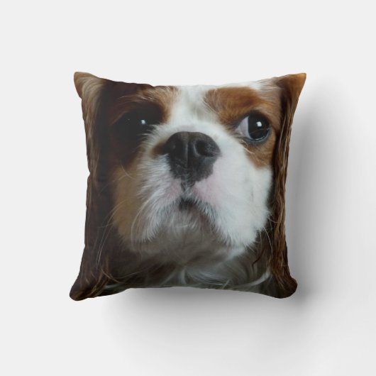 無頓着なチャールズ王スパニエル犬のクッションの枕 クッション (裏面)