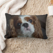 無頓着なチャールズ王スパニエル犬のクッションの枕 ランバークッション (ブランケット)