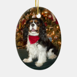 無頓着なチャールズ王スパニエル犬のクリスマスのオーナメント セラミックオーナメント