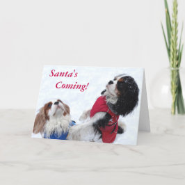 無頓着なチャールズ王スパニエル犬のクリスマスカード シーズンカード