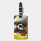 無頓着なチャールズ王スパニエル犬のポートレート ラゲッジタグ (正面縦)