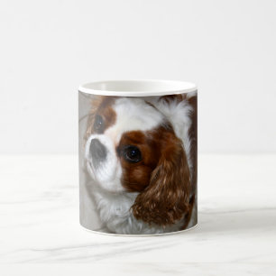 無頓着なチャールズ王スパニエル犬のマグ コーヒーマグカップ