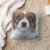 無頓着なチャールズ王スパニエル犬の子犬 クッション (ブランケット)