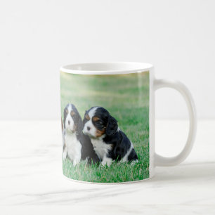 無頓着なチャールズ王スパニエル犬の子犬 コーヒーマグカップ