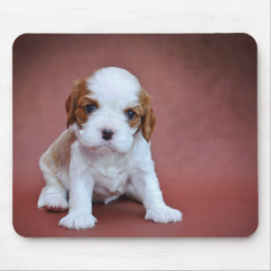 無頓着なチャールズ王スパニエル犬の子犬 マウスパッド