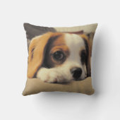 無頓着なチャールズ王スパニエル犬の投球Pollow クッション (裏面)