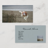 無頓着なチャールズ王スパニエル犬のBreedeの名刺 名刺 (正面/裏面)