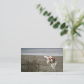 無頓着なチャールズ王スパニエル犬のBreedeの名刺 名刺 (スタンド正面)