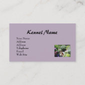 無頓着なチャールズ王スパニエル犬のBreedeの名刺 名刺 (裏面)