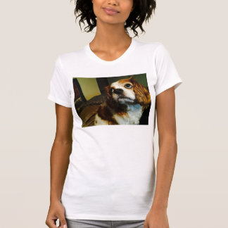 無頓着なチャールズ王スパニエル犬のTシャツ Tシャツ