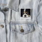 無頓着なチャールズ王スパニエル犬三Pin 缶バッジ (インサイチュ)