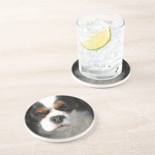 無頓着なチャールズ王スパニエル犬犬のコースター コースター (側面)