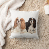 無頓着なチャールズ王スパニエル犬 クッション (ブランケット)